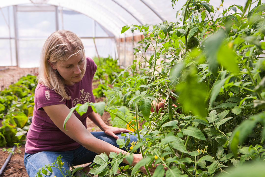 Small-Batch Story: Clif Family Winery & Farm