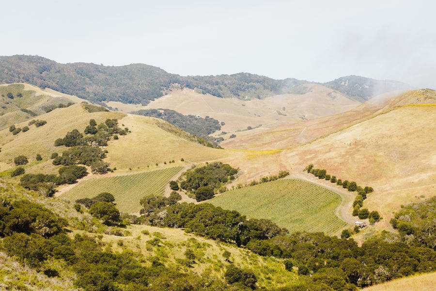 White Buffalo Land Trust -- Bringing Regenerative Agriculture to Life ...