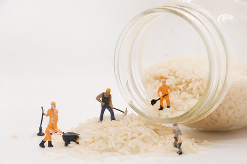 Grains, Beans, & Pasta