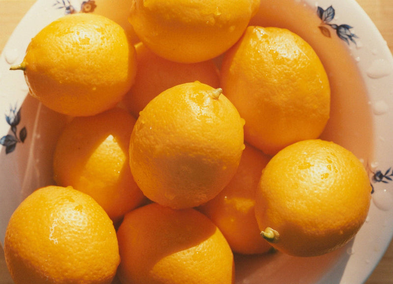 Meyer Lemon & Honey Marmalade: 5oz Marmalade Jar