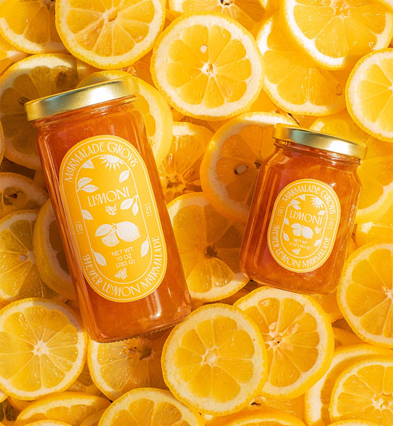 Meyer Lemon & Honey Marmalade: 5oz Marmalade Jar