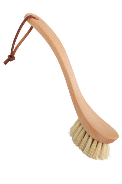 https://narrativefood.com/cdn/shop/products/DISH_20BRUSH_grande.jpg?v=1642830281